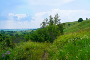 Fototapeta na wymiar Summer sunny green hills under a blue sky.