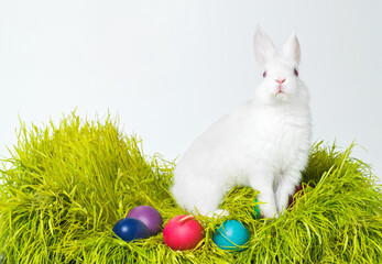 Happy Easter. Studio shot of a cute rabbit on the grass with an assortment of brightly colored eggs.
