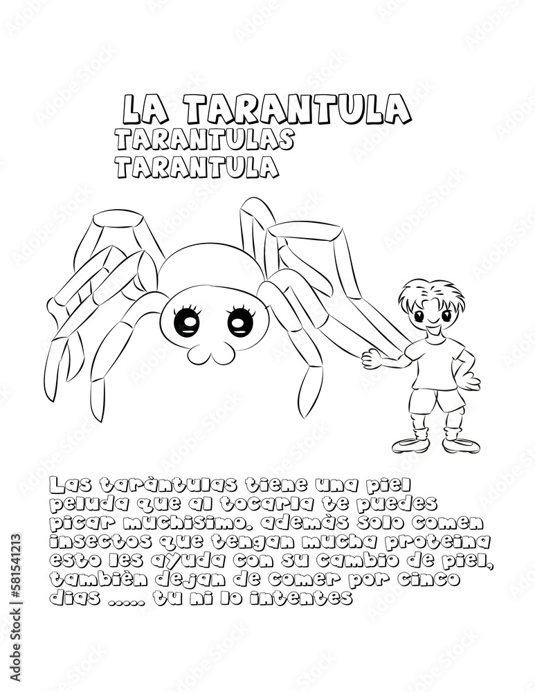 Wall mural Tarantula dibujo