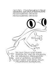 Rana monogrande, cuento 