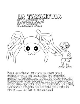 Tarantula dibujo