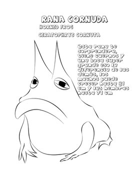 Rana cornuda 