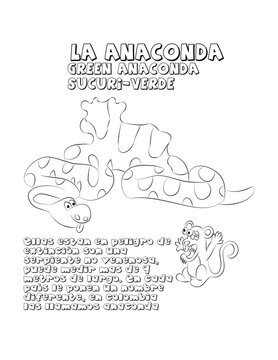 La Anaconda