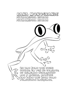 Rana monogrande, cuento 