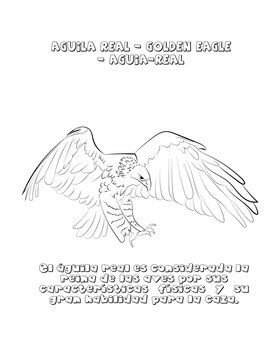 Aguila real, narracion