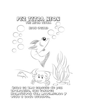 Pez tetra neon, cuento 