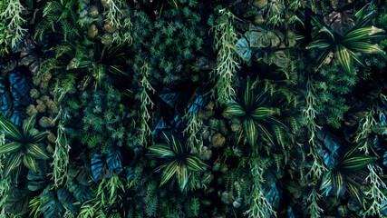 Herb wall, plant wall, natural green wallpaper and background. nature wall. Nature background of...