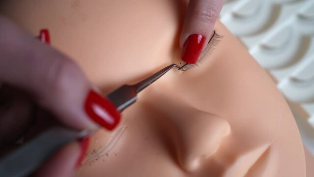 Concept of training eyelash extensions. Work on extension eyelashes on a mannequin, close up.