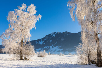 Allgäu - Burgberg - Winter - eingefroren - Schnee - Grünten