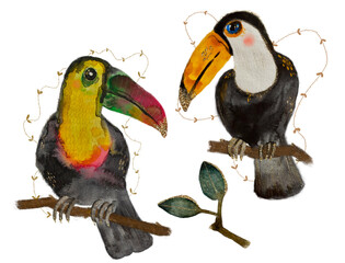 Two toucans and plants, watercolor