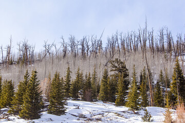 Hiking in the snow in the Colorado Rocky Mountains.