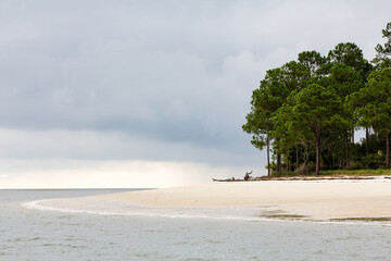 Beach with trees