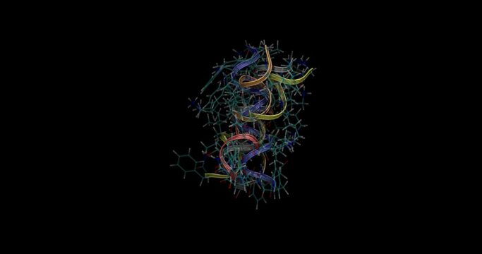 NMR solution structure (in water) of an anticancer peptide, 3D molecule spinning, 4K