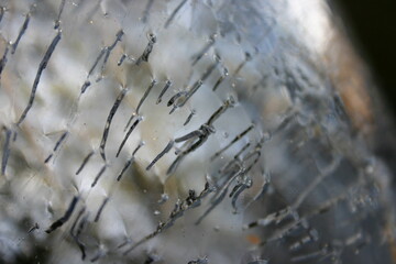 water drops on the ice