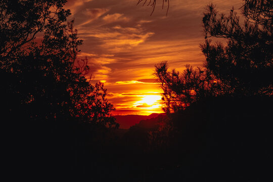 sunset in the forest