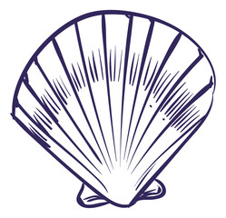 Clam sketch. Closed seashell in hand drawn style