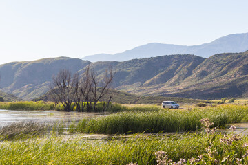 a pond in Ojai, California, with lush landscape surrounding the waters edge and mountains in the background.