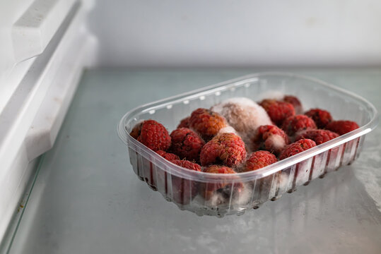 Moldy raspberries in a plastic basket inside a refrigerator. Food past its expiration date, spoiled food.