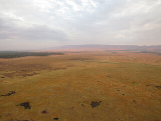Fototapeta na wymiar Beautiful landscape of the Masai Mara National Reserve, Kenya