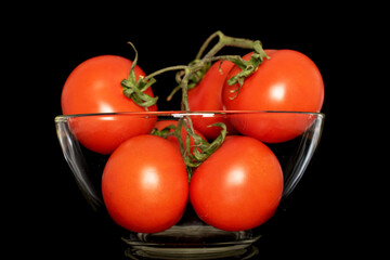 Several fresh tomatoes on a branch with a glass plate, macro, isolated on a black background.