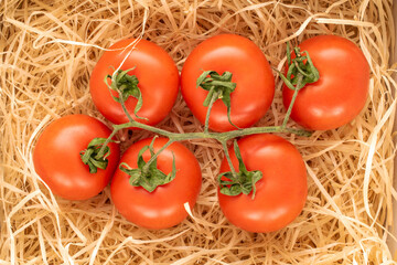 Several ripe tomatoes on a branch in wood shavings, macro, top view.