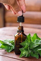 Peppermint essential oil. A dark (brown) glass bottle with mint essential oil and fresh mint on wooden table