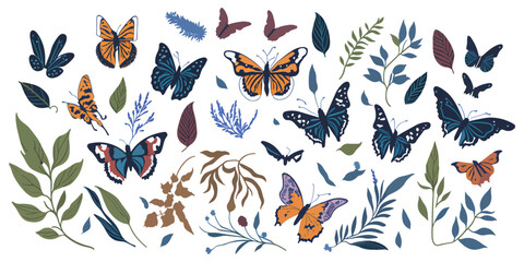 Tropical Wingspan. Collection of Exotic Butterfly Vectors
