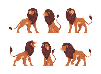 Proud Powerful Lion Mammal with Prominent Mane and Hairy Tuft on Its Tail Vector Set