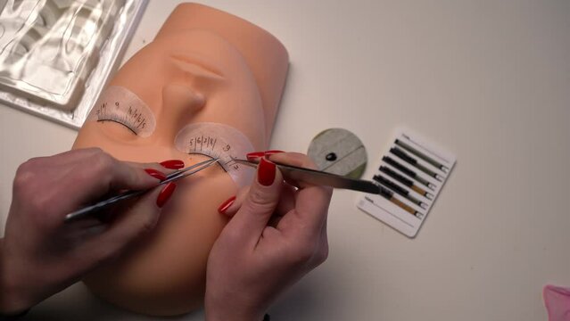 Eyelash extension procedure. Woman master making fake long lash on mannequin head. Concept of basic training to build eyelashes. Copy space