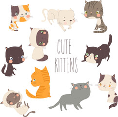 set of cats