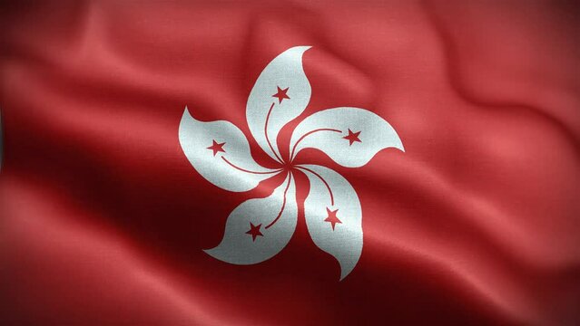 4K Textured Flag of Hong Kong Animation Stock Video - Hong Kongese Flag Waving in Loop - Highly Detailed Hong Konger Flag Stock Video stock video