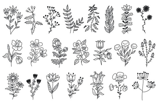 Set of minimalistic floral branches. Hand drawn field plants, wild flowers or grass. Design elements for tattoos, logos and wedding invitations. Cartoon flat vector collection isolated on white