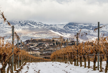 Vi&ntilde;edos nevados en rioja alavesa