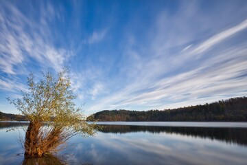 reflection in the water