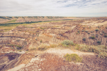 Landscape of the Badlands of Drumheller with brush in the foreground.