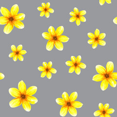 Seamless pattern with flowers. Watercolor abstract bright summer yellow flowers. Isolated objects on grey background