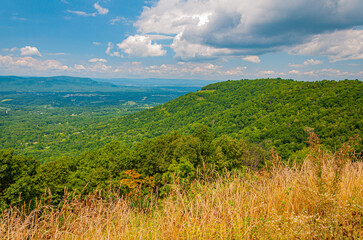 Early August in the Appalachian Mountains, Virginia USA, Virginia