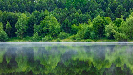 Beautiful summer landscape with forest lake and reflection in water