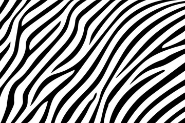 Zebra skin pattern.  Template for design in black and white colors.