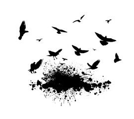 A flock of flying birds. Free birds. abstraction birds flying from blots . Vector illustration