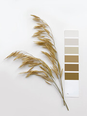Concept: nature inspires colors. Paint samples for decorating and design. Deciding on colors....