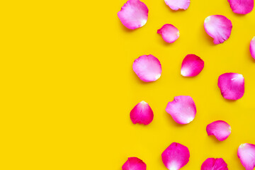 Rose petals on yellow background.