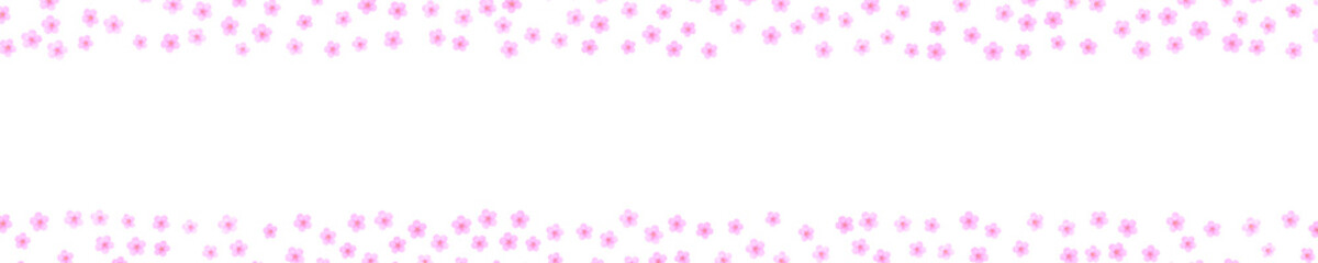 pink cherry flowers on transparent background	
