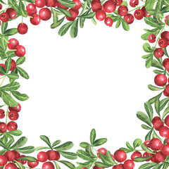 Obraz premium Watercolor hand drawn rectangular frame with green leaves and wigs and red berries on the white background. Perfect for invitations and cards.