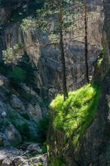 waterfall in the forest