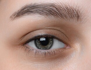 Obraz premium Beauty female eye with curl long false eyelashes