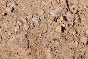 stones in dirt