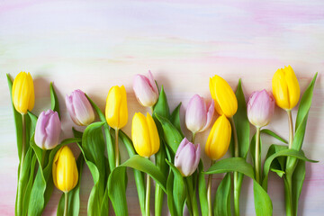 Yellow and purple tulip flowers on light colorful watercolor background, copy space