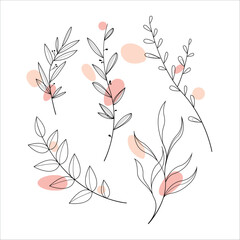 Outlines of branches with colored delicate abstract elements. Set of linear twigs.  Vector illustration.