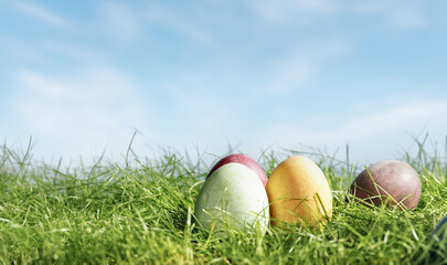Easter eggs in spring grass, close up